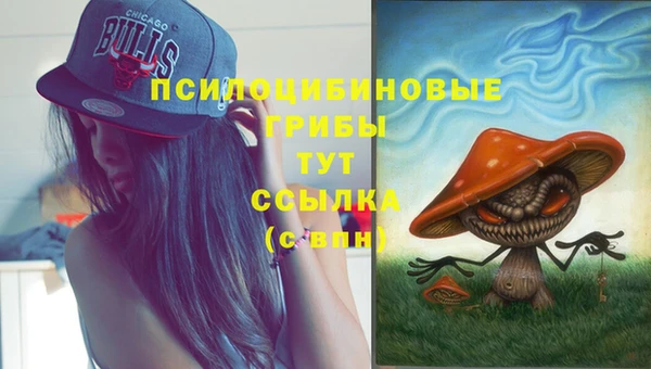 не бодяженный Белая Холуница