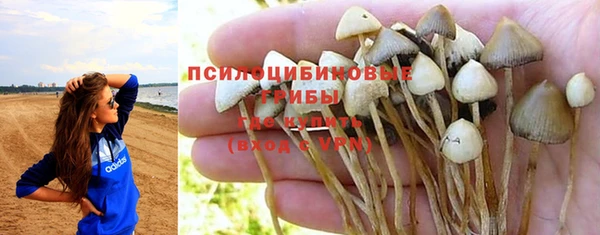 гидропоника Вуктыл