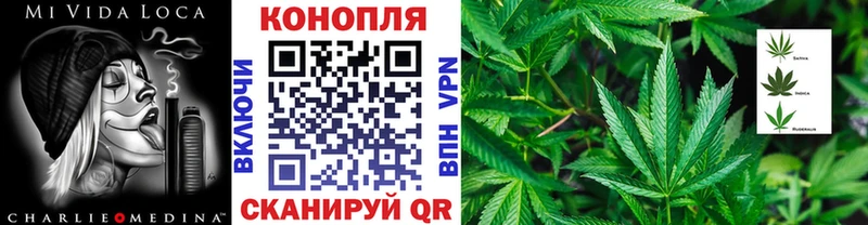 где купить наркоту  Болхов  mega сайт  Бошки марихуана планчик 